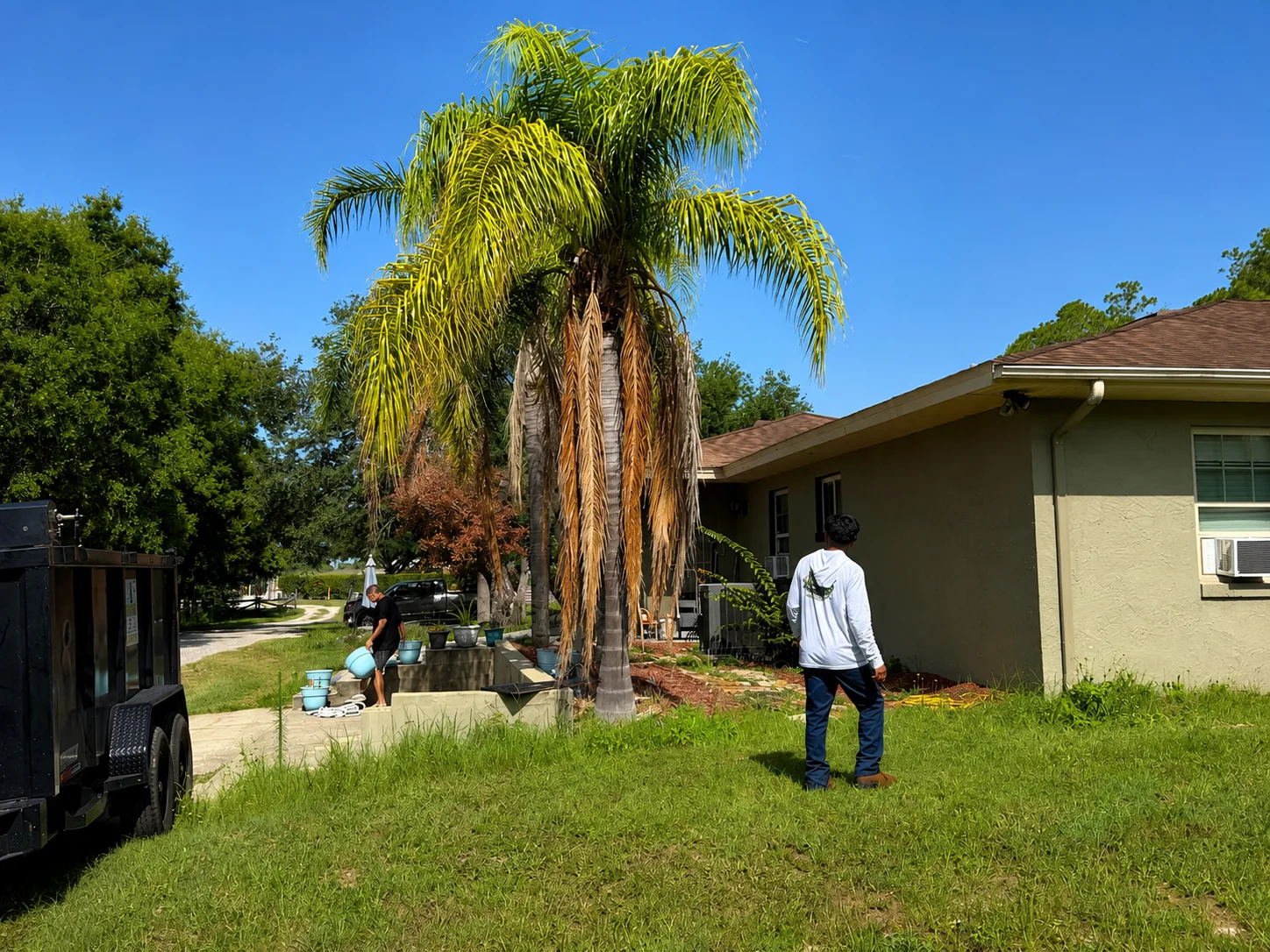 Large palm tree located close to a Central Florida residence before removal