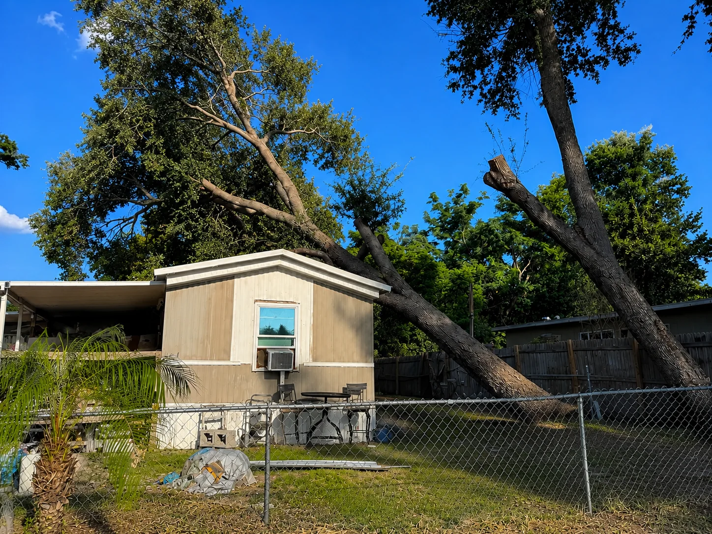 Emergency tree service for storm-damaged residential trees in Central Florida